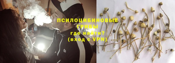 a pvp Каменногорск