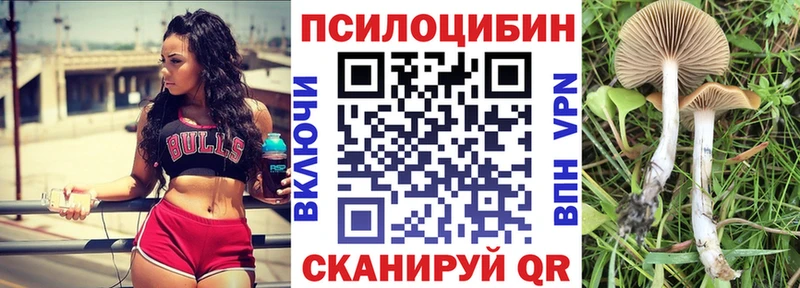Псилоцибиновые грибы Psilocybe  где найти наркотики  Кологрив 